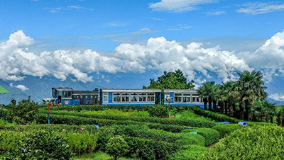 Darjeeling Himalayan Railway (DHR)